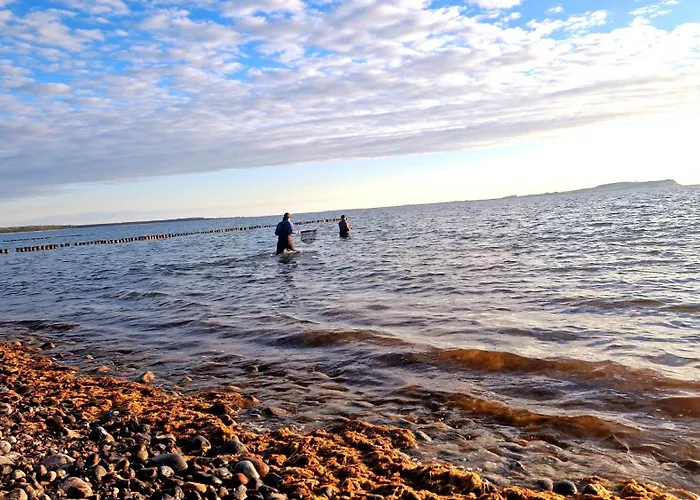 App 8O - Grosser Tag Am Meer Mit Wasserblick In Dranske Appartement Dranske